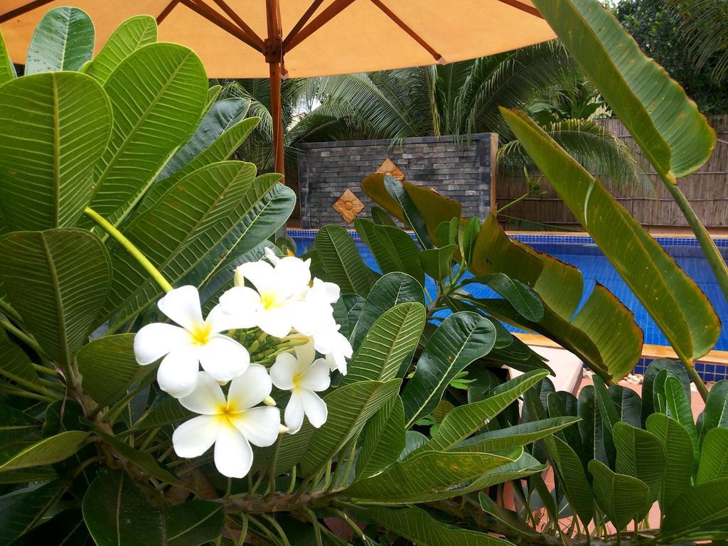 Villa Nissa Siem Reap Exteriör bild