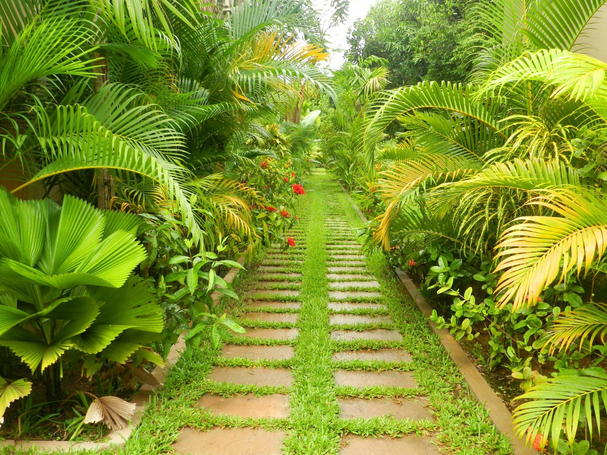 Villa Nissa Siem Reap Exteriör bild
