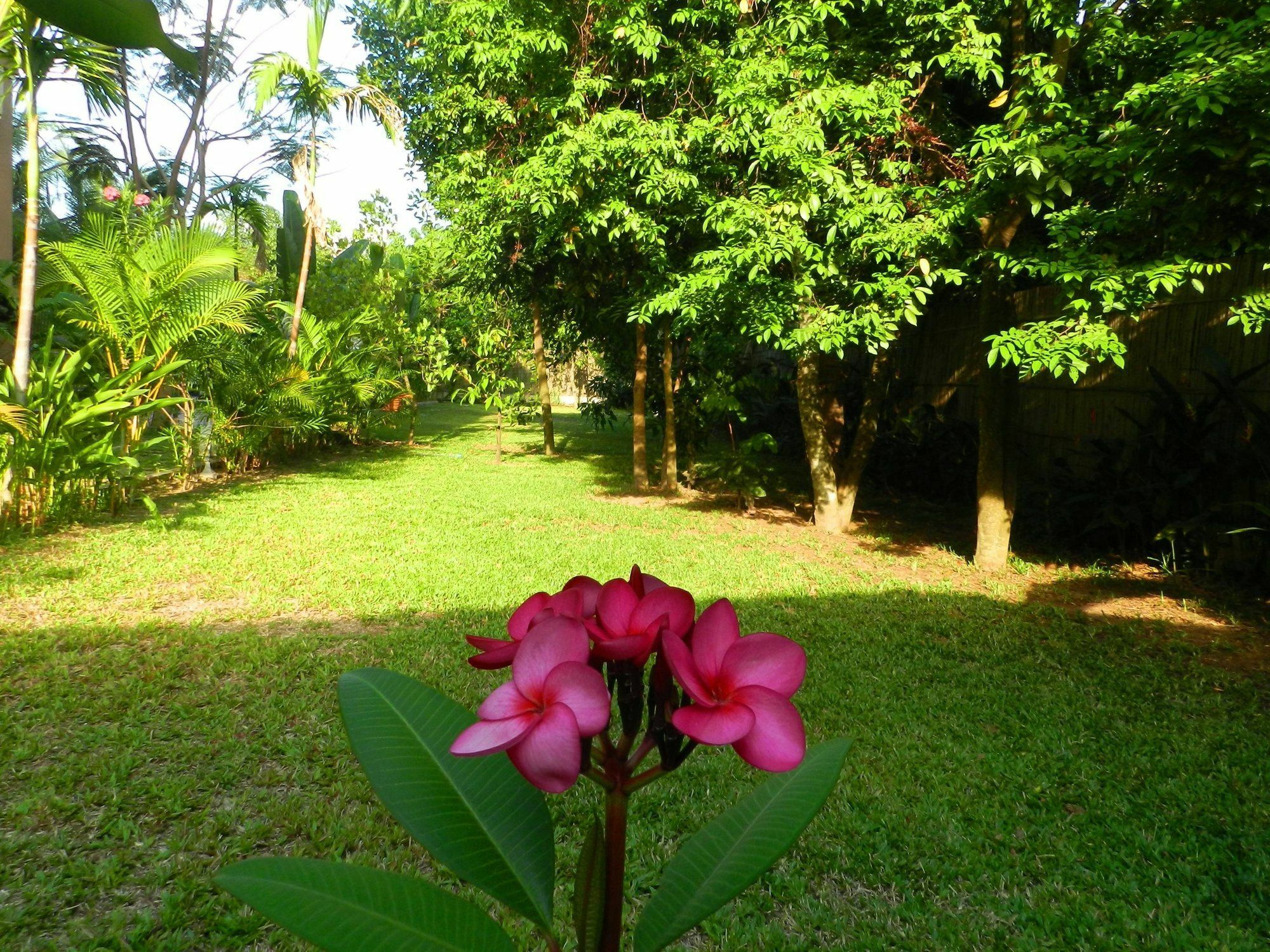 Villa Nissa Siem Reap Exteriör bild